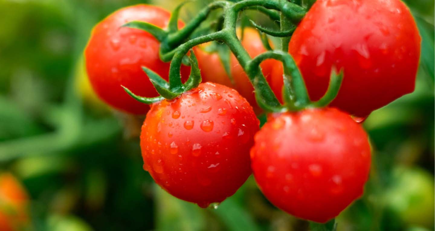 RECEPTY NA NEJLEPŠÍ MUFFNY PRO DĚTI