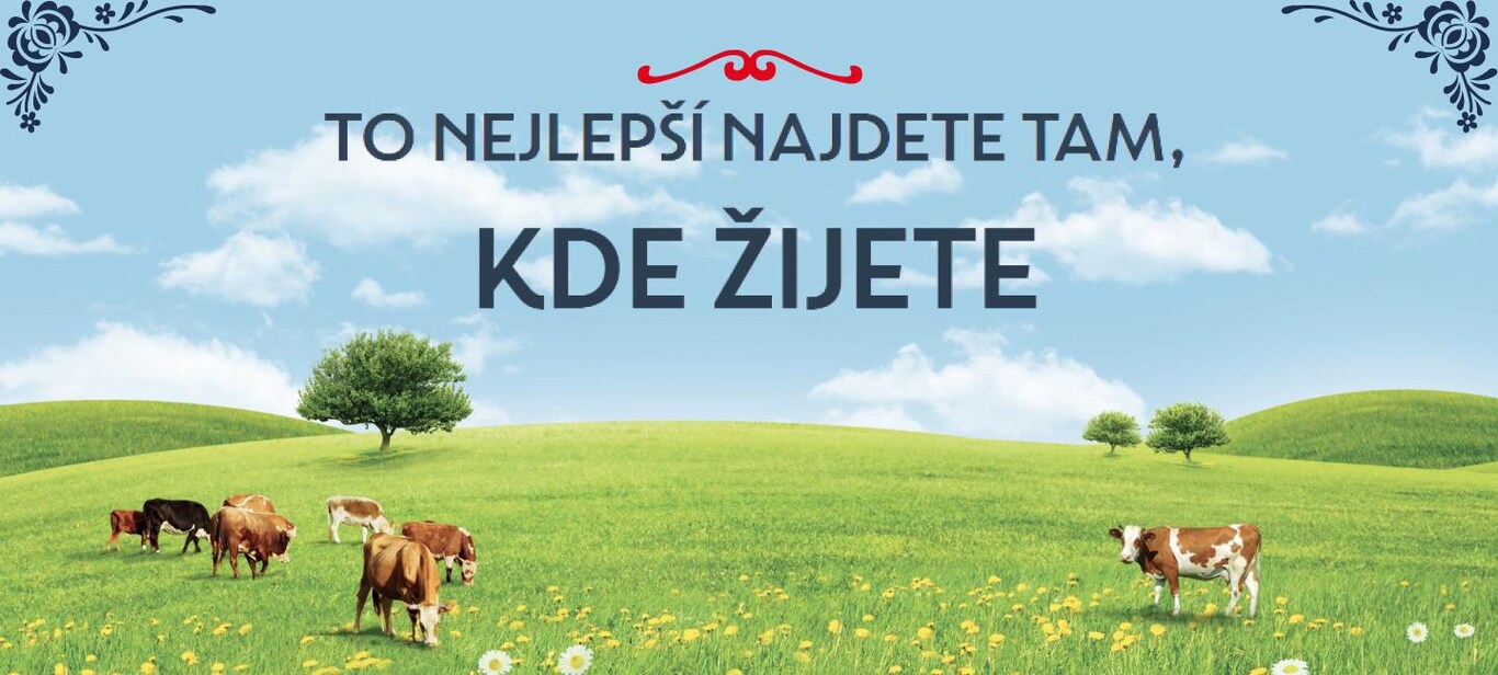 to nejlepší najdete tam, kde žijete