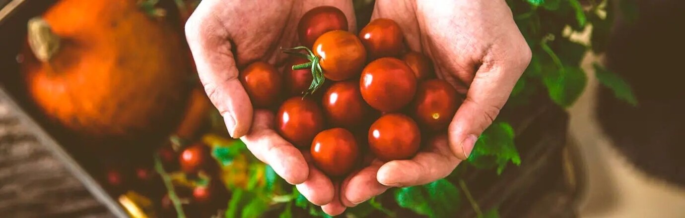 hrst plná čerstvých brusinek