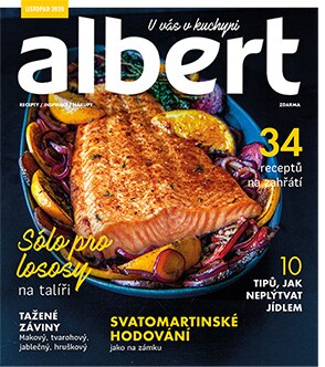 Magazín Albert listopad 2020