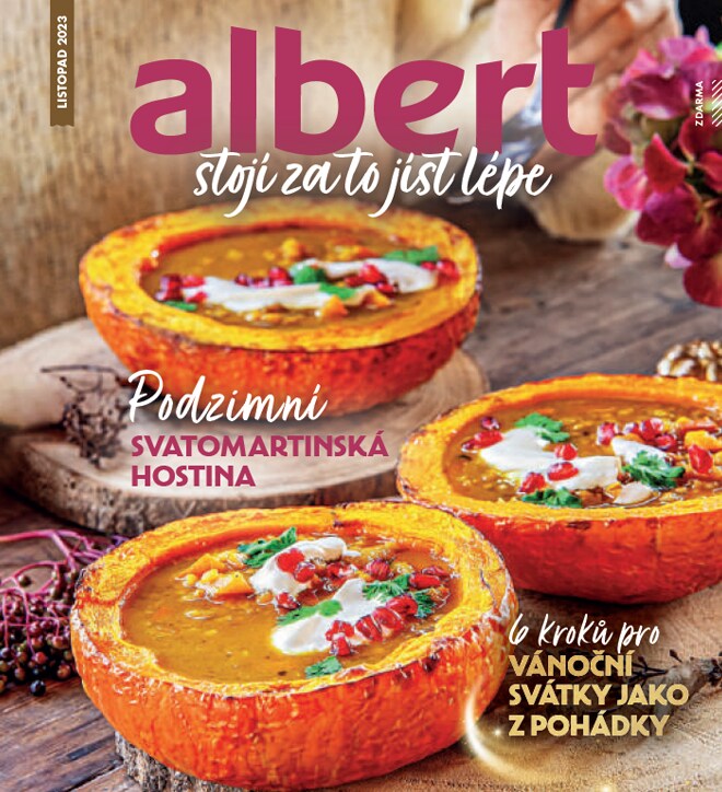 Magazín Albert listopad 2023