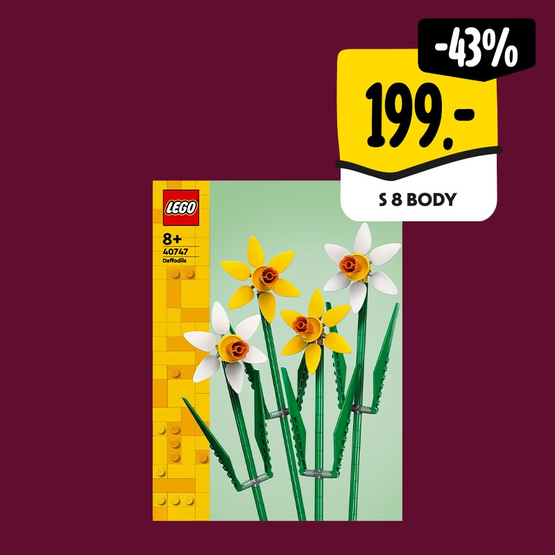 Lego Narcisy