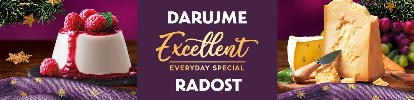 Vánoční banner - Darujme Excellent